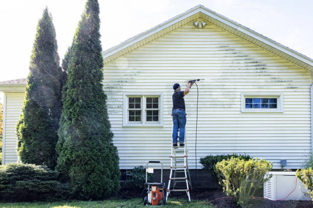 Best Gutter Cleaning and Brightening in Phillips, WI